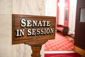 State Senate ditches governor's income tax bill, unanimously passes resolution outlining its plan